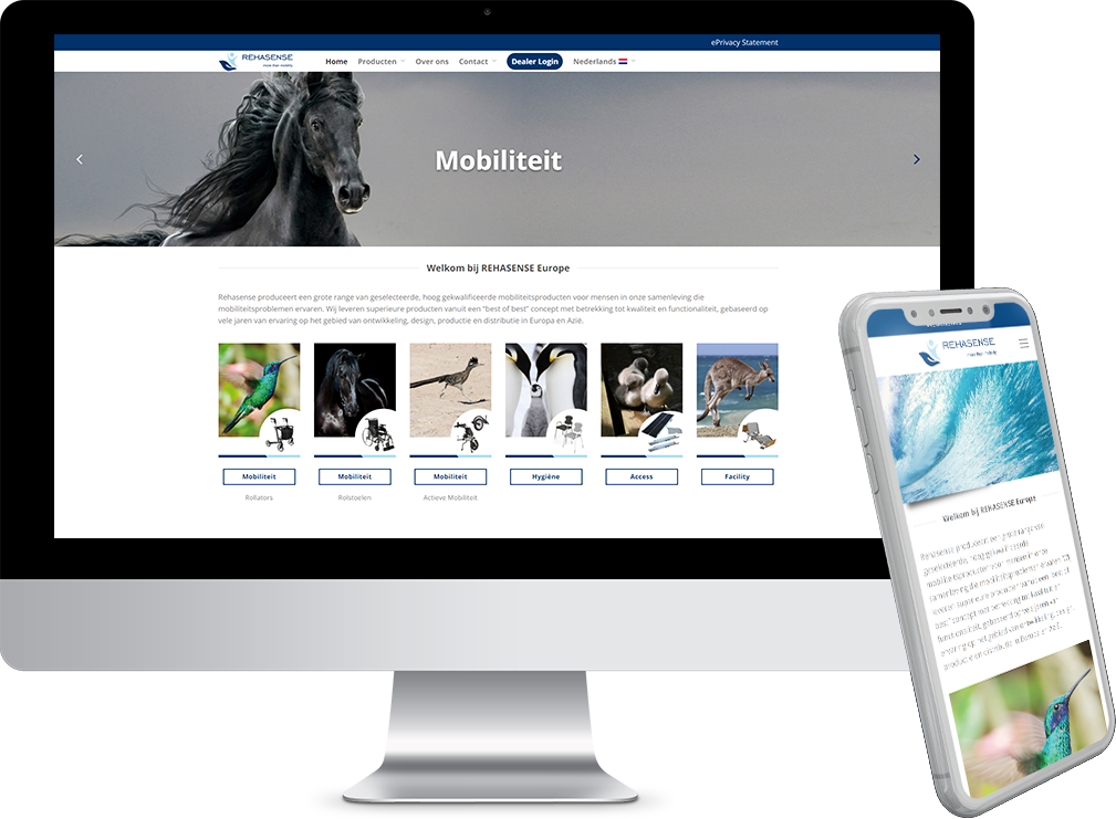 Rehasense